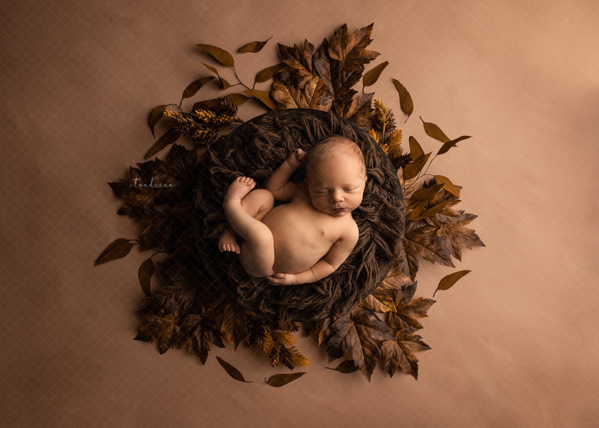 Newborn Digital Backdrop 2 Pack, Fall Newborn Digital Backdrops, Fall Leaves with Bowl Newborn Backdrop for Photoshop Composites