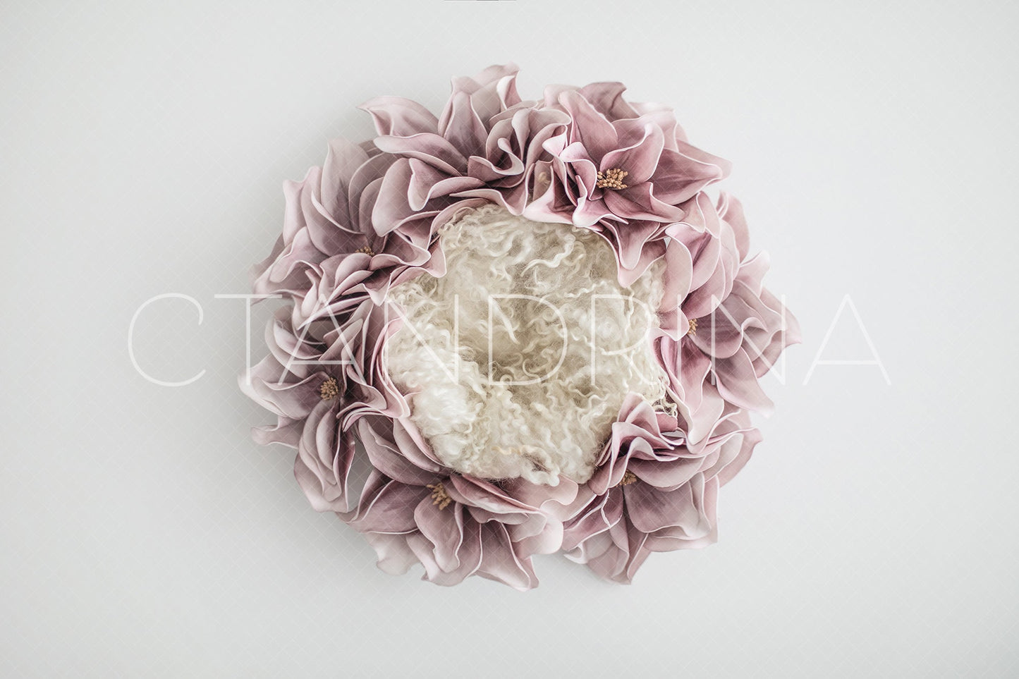 Newborn Digital Backdrop for Photoshop, Fine Art Newborn Composite Backdrops, Floral Wreath Newborn Digital Backdrop, Baby Girl Backdrops