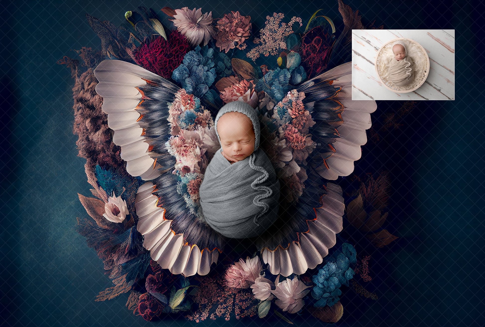 Floral Butterfly Newborn Digital Backdrop, Fine Art Newborn Backdrops for Photoshop, Newborn Digital Background for Photoshop Composite