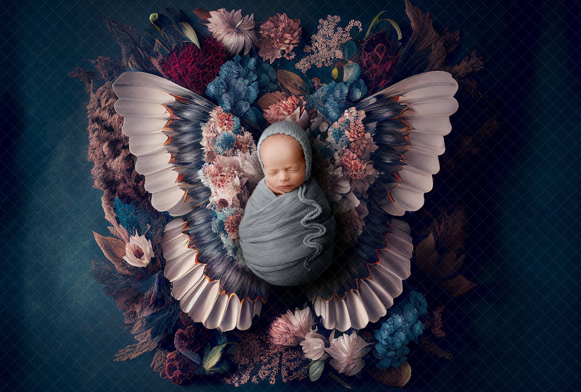 Floral Butterfly Newborn Digital Backdrop, Fine Art Newborn Backdrops for Photoshop, Newborn Digital Background for Photoshop Composite