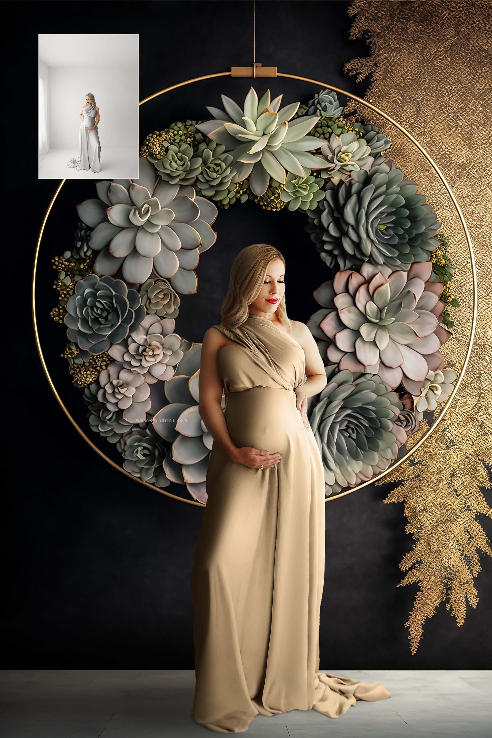 maternity digital backdrops, fine art floral ring backdrops, maternity backdrops best sellers, studio digital backdrops, ctandrina, original floral ring backdrops, spring floral backdrops, succulent hoop backdrops