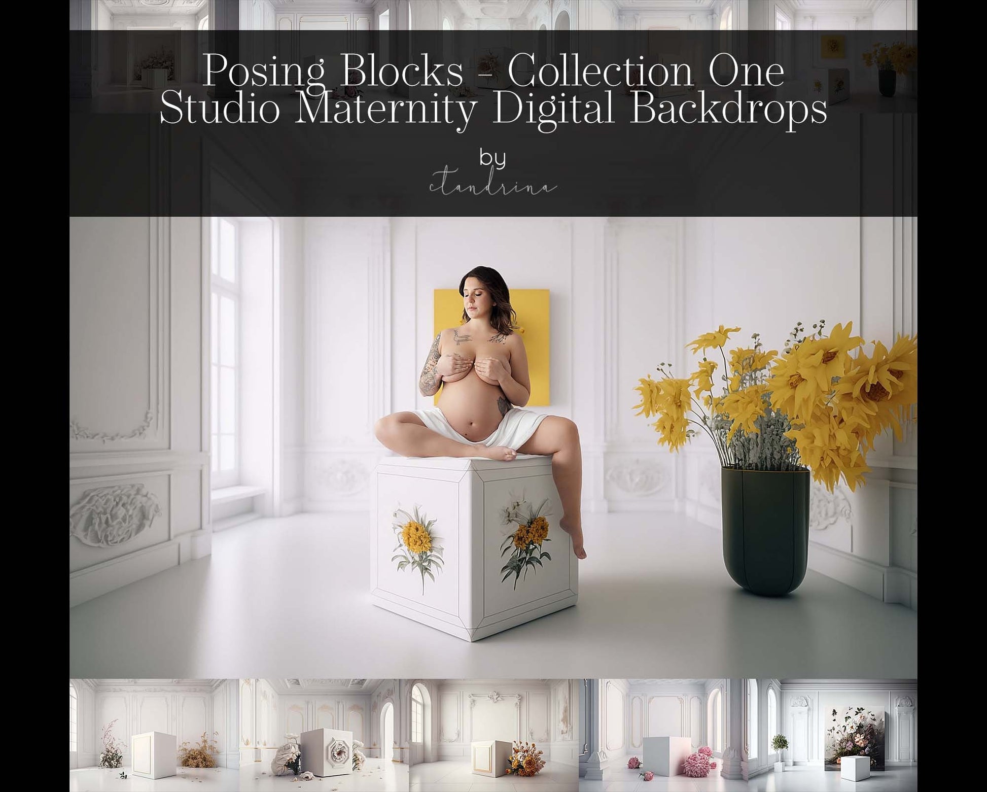 maternity digital backdrop, maternity backdrop overlays, maternity backdrops, maternity backgrounds, studio digital backdrops, studio backdrop overlays, photoshop overlays, best seller, ctandrina, best maternity backdrops, posing block backdrops