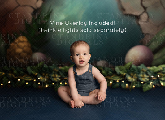 Dino Lair Digital Backdrop, Child Digital Backdrop, Dinosaur Digital Backdrop, Cake Smash Digital Backdrops for Photoshop Composites