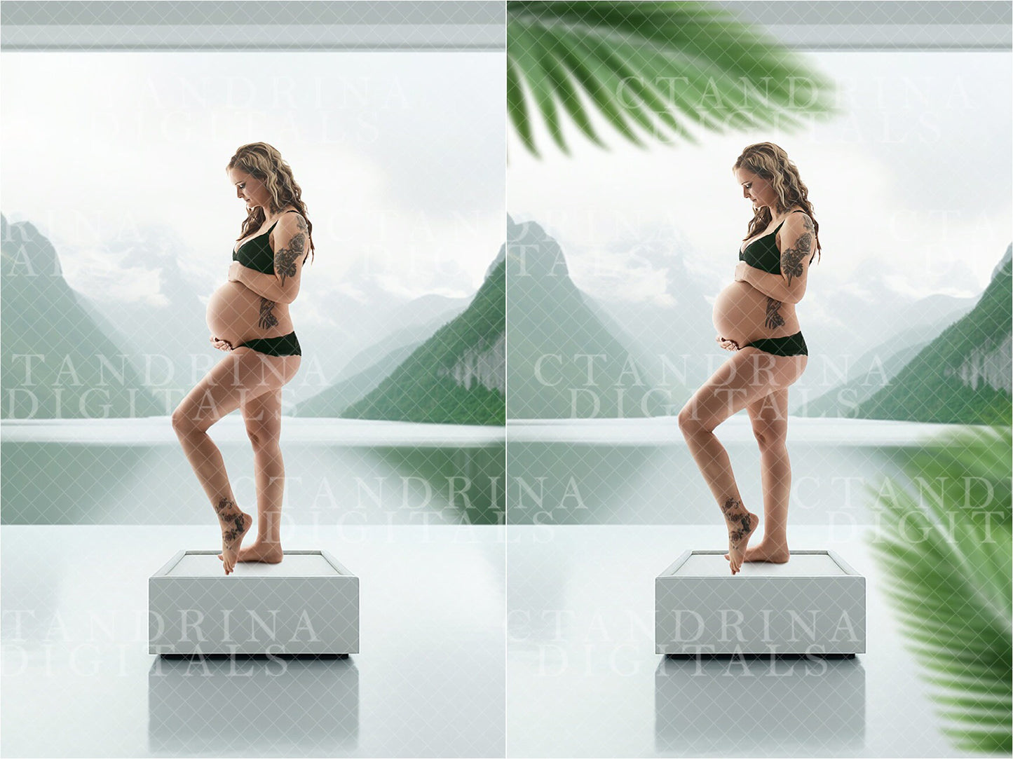 green foliage overlays, tropical leaf overlays, leaf shadow overlays, green leaf overlays, leaf photo overlays, photoshop overlays, best photo overlays, palm leaf overlays, best photoshop overlays, transparent overlays, png leaf overlays