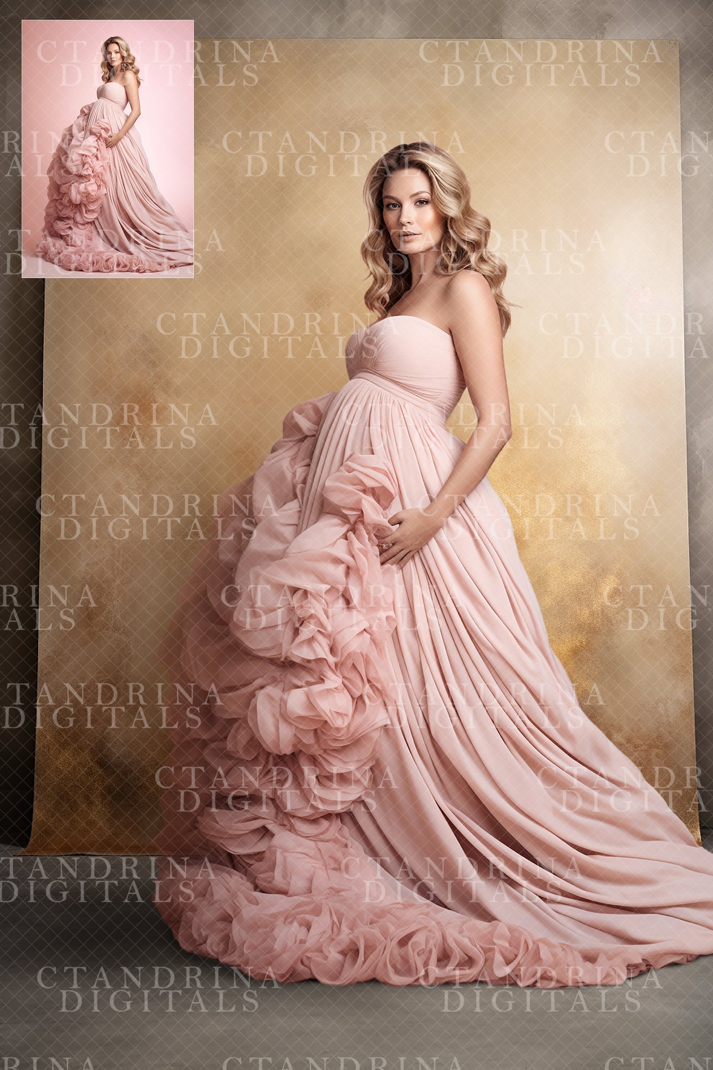 Brown and Beige Fine Art Hanging Digital Backdrops, Digital Hanging Canvas, Maternity Digital Backdrops, Fine Art Portrait Backdrops