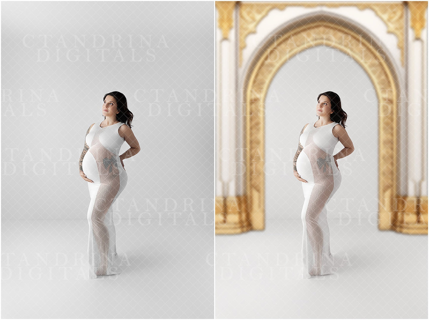 PNG Arch Overlays, Digital Backdrop Overlays, Arch Backdrop Overlays, Fine Art Overlays, Maternity Backdrop Overlays for Photoshop Composite, ctandrina digitals, best seller, maternity backdrops, maternity digital backdrops, fine art backdrops