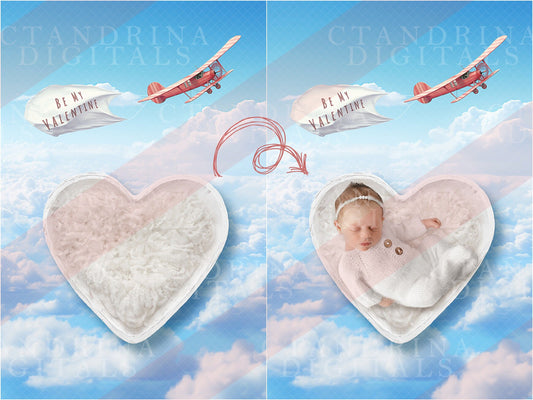 valentine newborn digital backdrop, airplane newborn digital background, best sellers, newborn digital backdrops, baby digital backdrops, valentines day newborn digital backdrops, best newborn digital backdrops, ctandrina digitals
