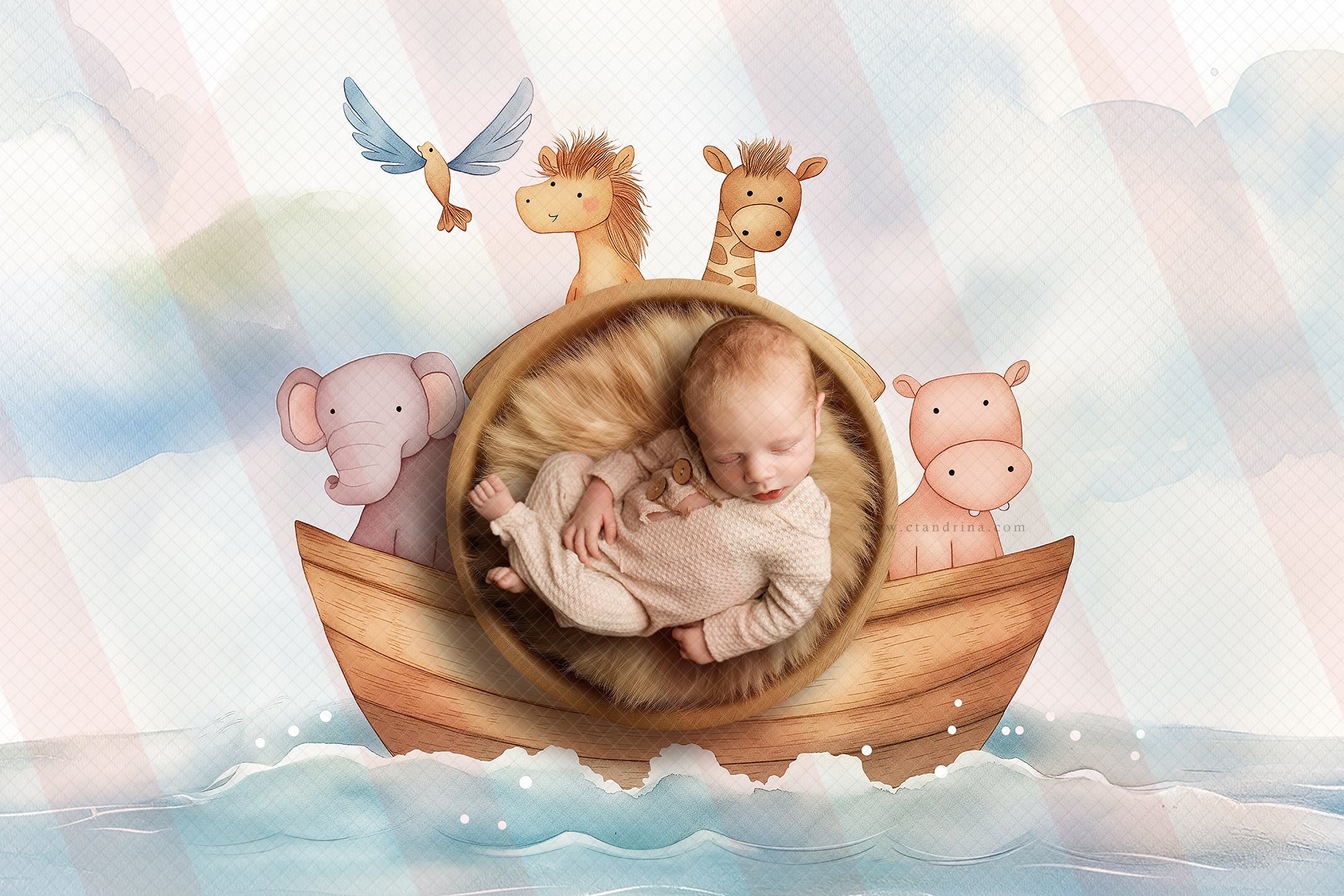 Digital Backdrop Example How to Choose the Right Digital Backdrop for Your Project ...