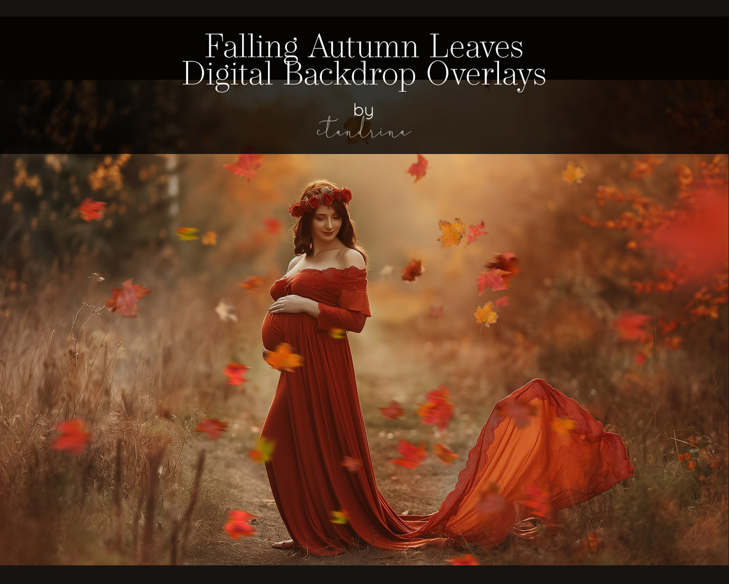 Falling Leaf Overlays