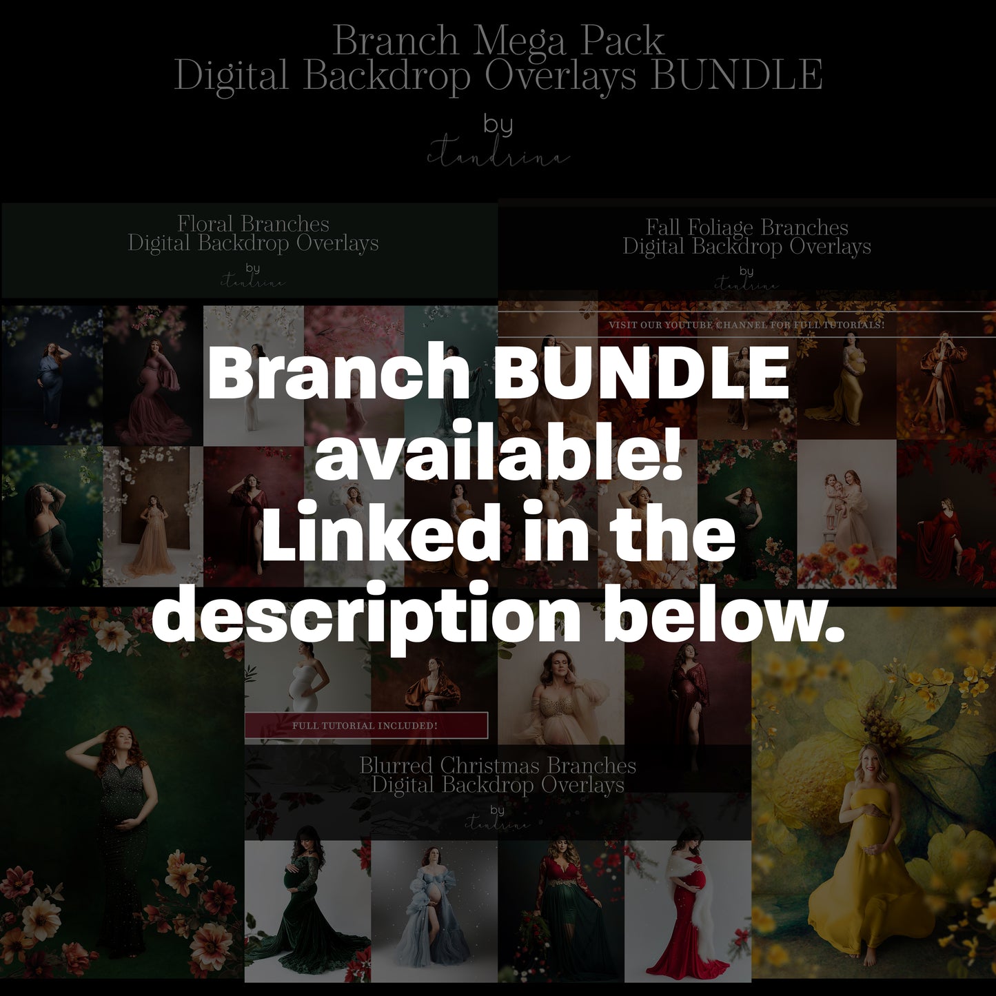 Blurred Christmas Branch Overlays