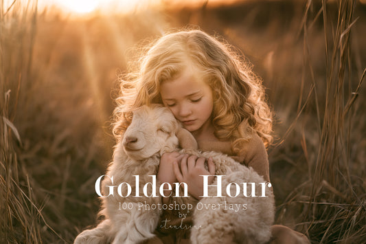 Golden Hour Photoshop Overlays