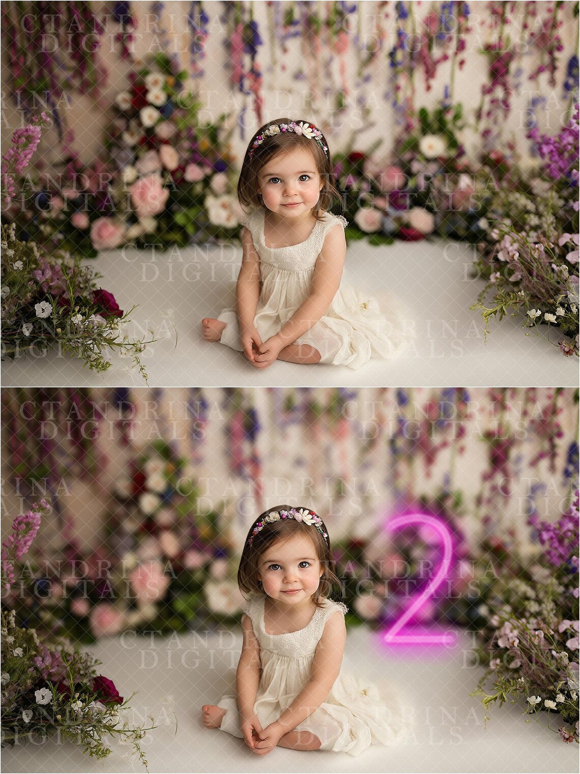 Neon "TWO" Sign Overlays Extension Pack