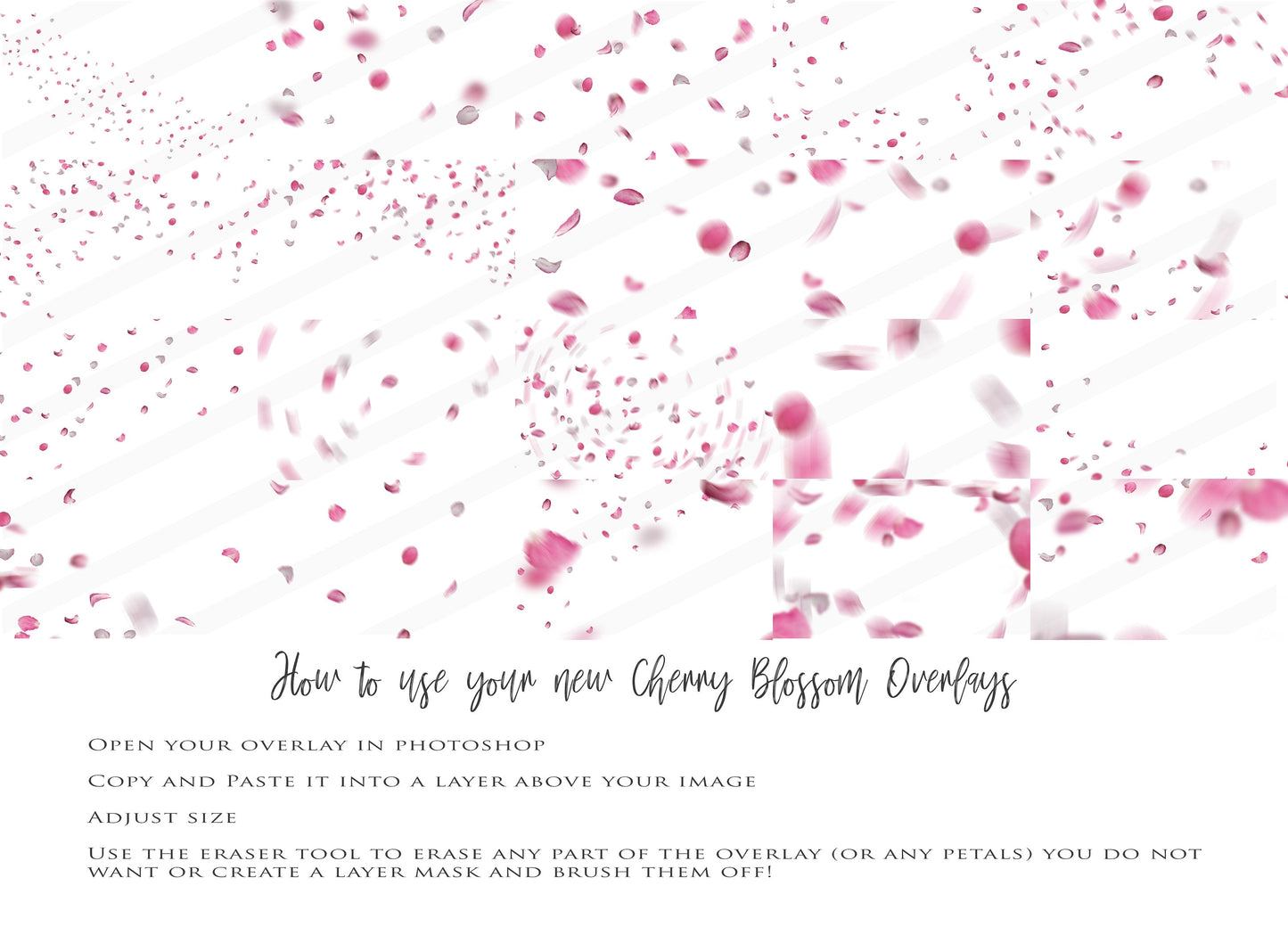 Cherry Blossom Petal PNG Overlays