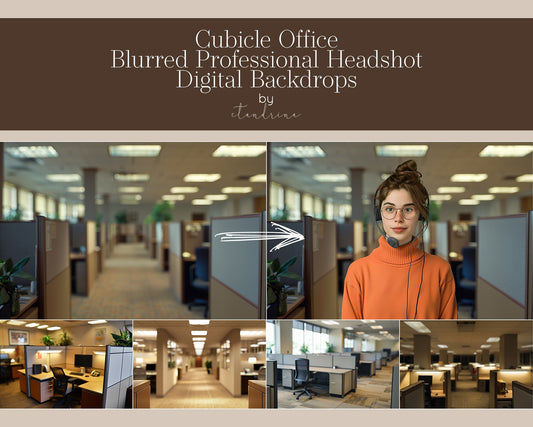 Cubicle Office Headshot Digital Backdrops, Blurred Professional Headshot Backgrounds for Photoshop, Office Soft Focus Backdrops