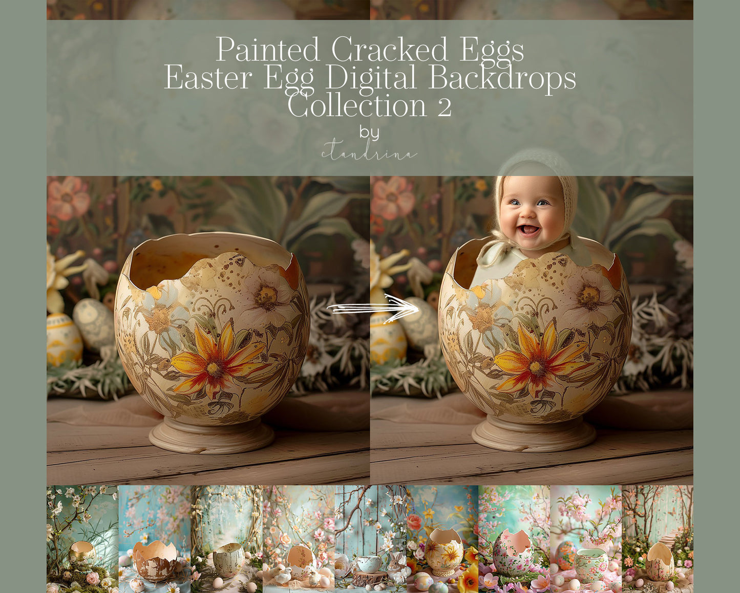 Painted Cracked Egg Digital Backdrops, Cracked Easter Egg Digital Backgrounds, Easter Egg Baby Backdrops for Photoshop, Collection 2