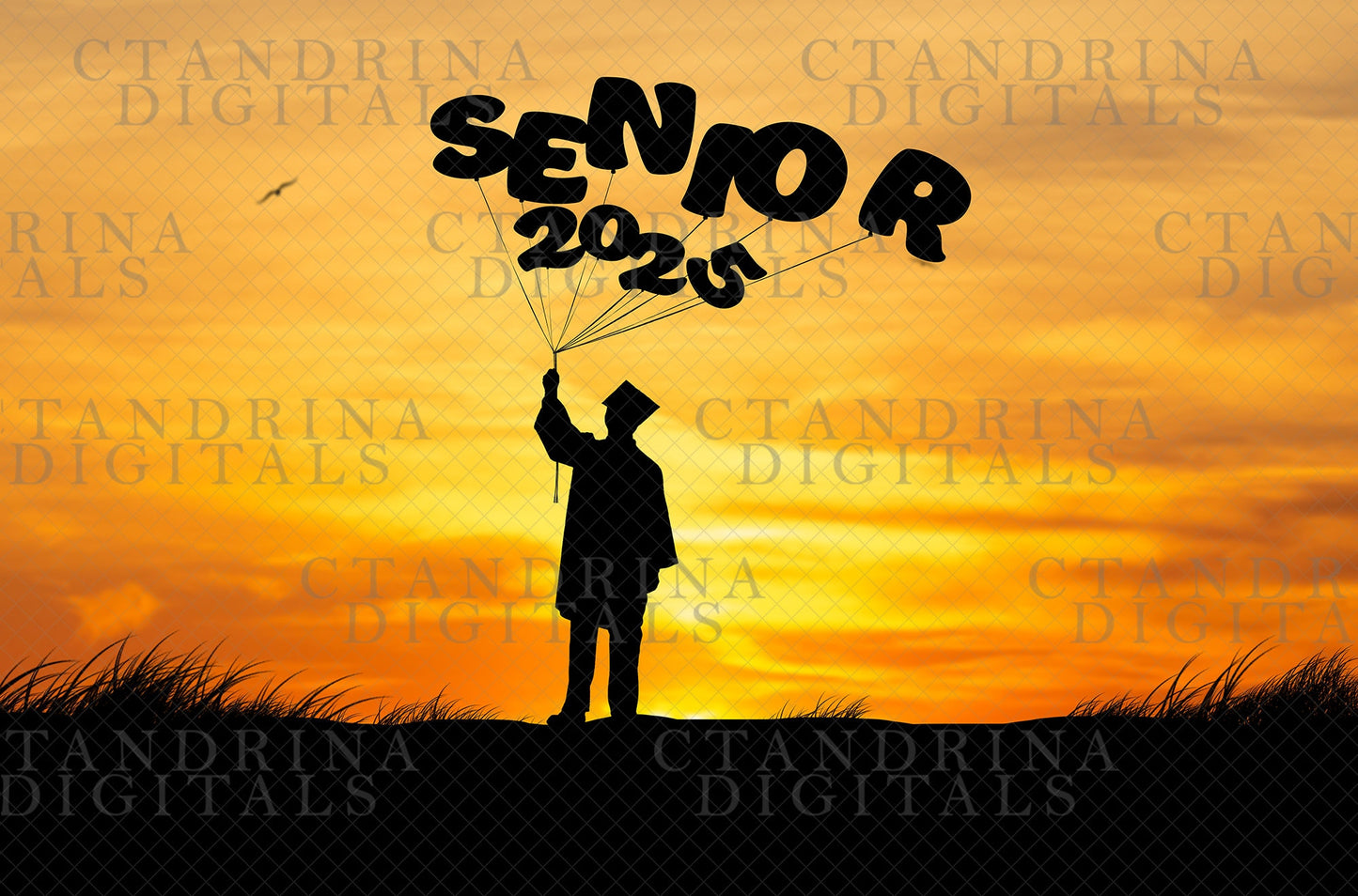 High School Senior Digital Backdrop, 2025 Graduate Balloon Silhouette Digital Backdrop, Senior Digital Backdrops, Photoshop Backdrops