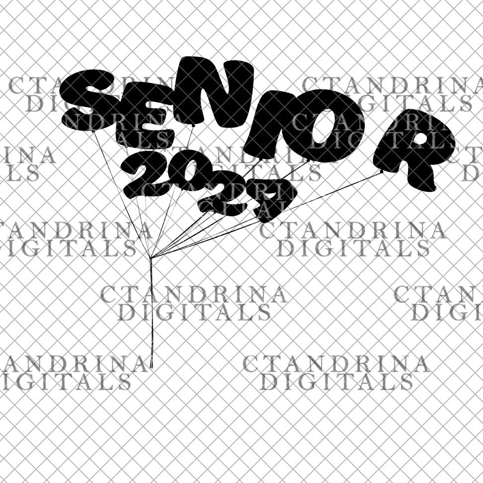 High School Senior Digital Backdrop, 2024 Graduate Balloon Silhouette Digital Backdrop, Senior Digital Backdrops, Photoshop Backdrops