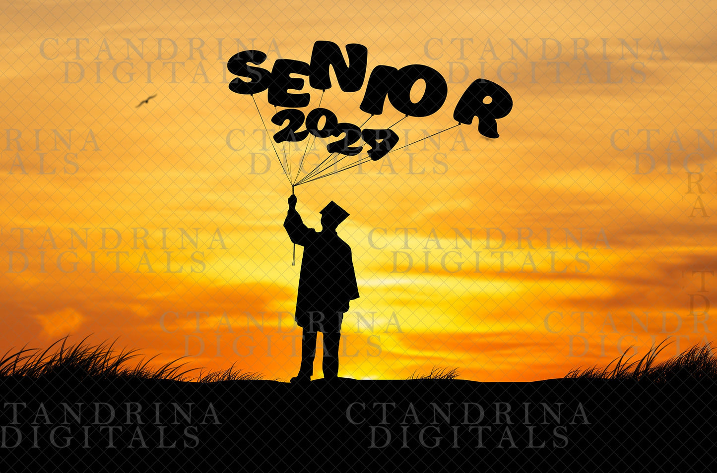 High School Senior Digital Backdrop, 2024 Graduate Balloon Silhouette Digital Backdrop, Senior Digital Backdrops, Photoshop Backdrops