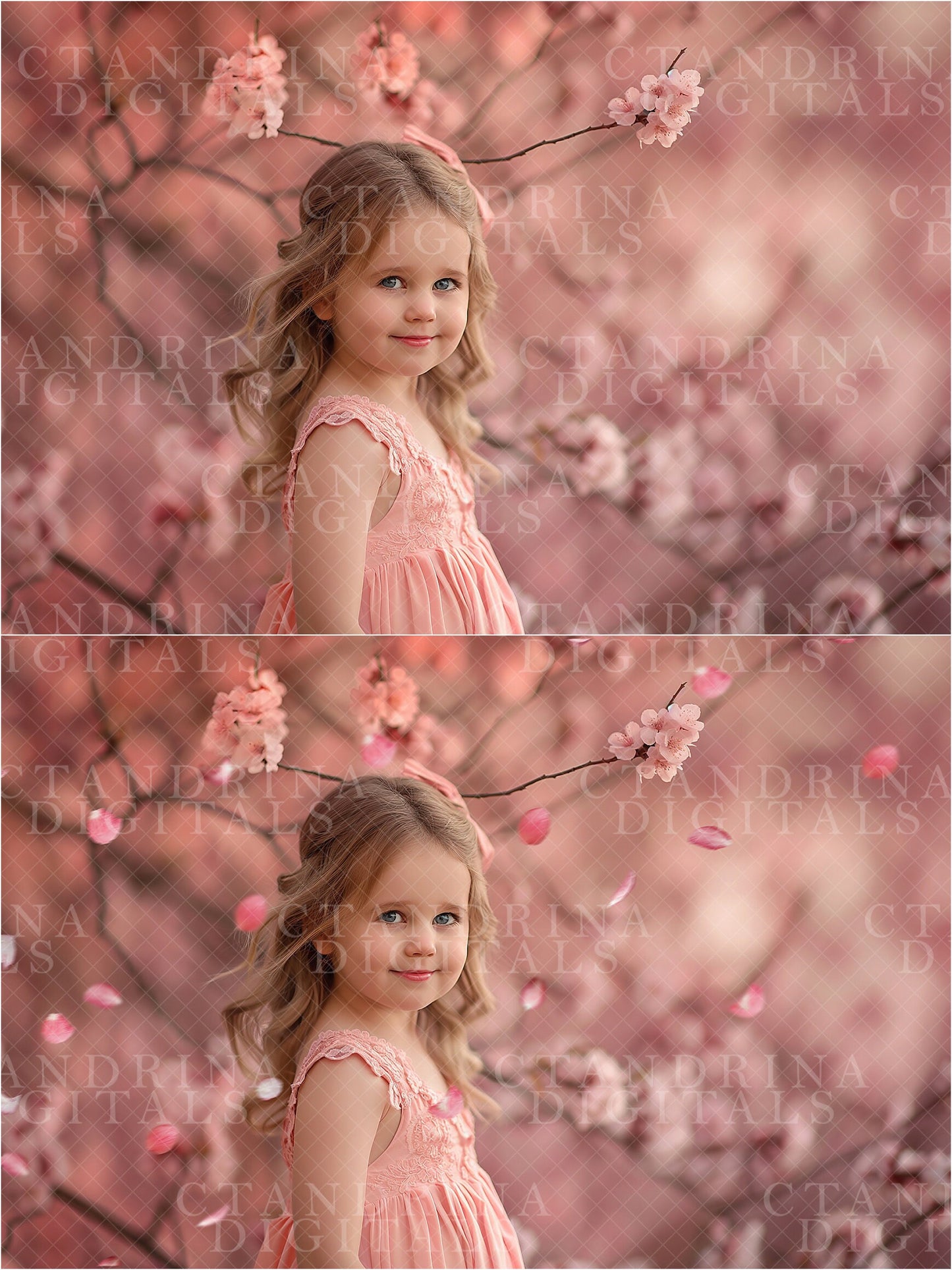 Cherry Blossom Petal PNG Overlays