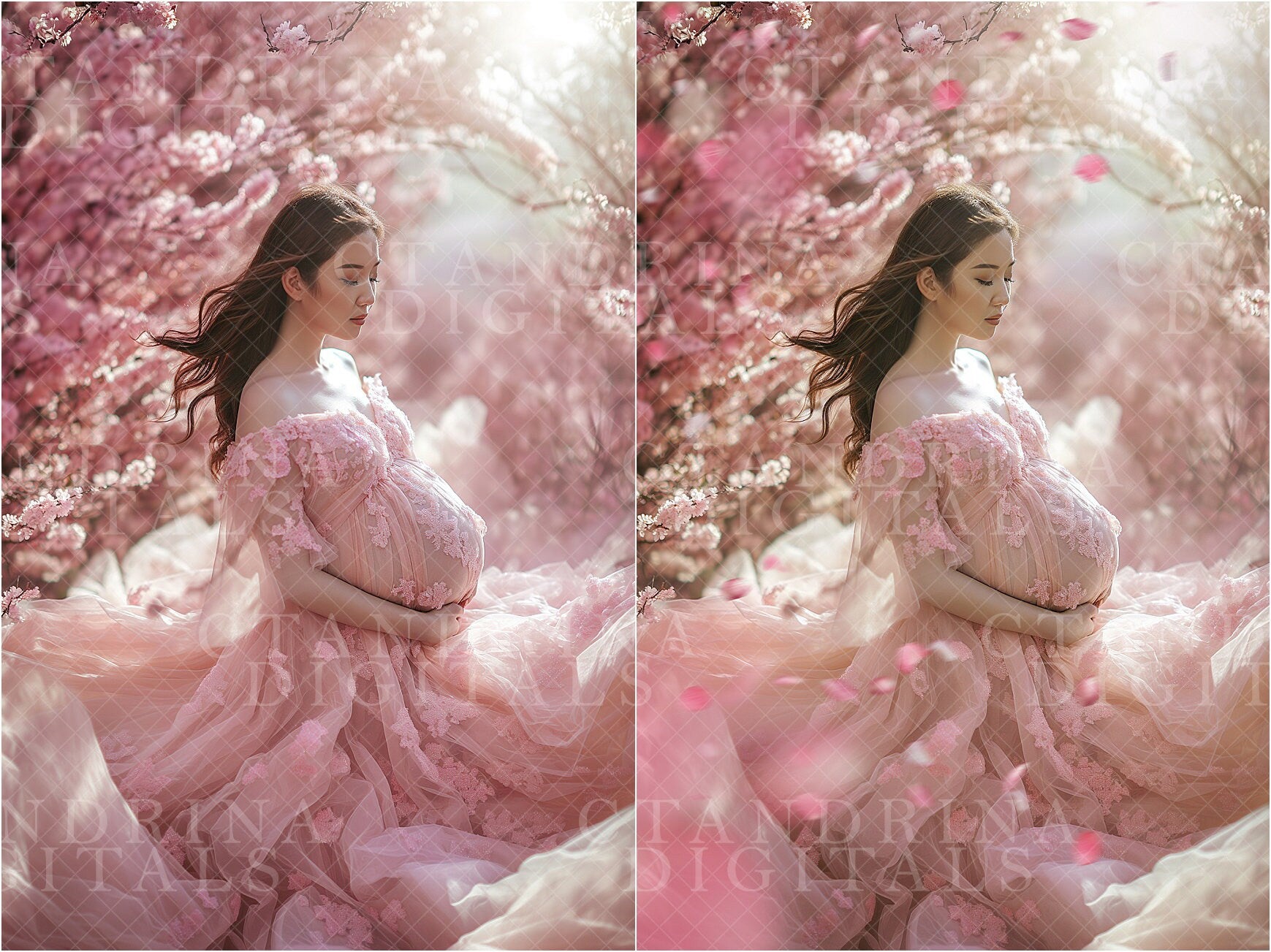 Cherry Blossom Petal PNG Overlays