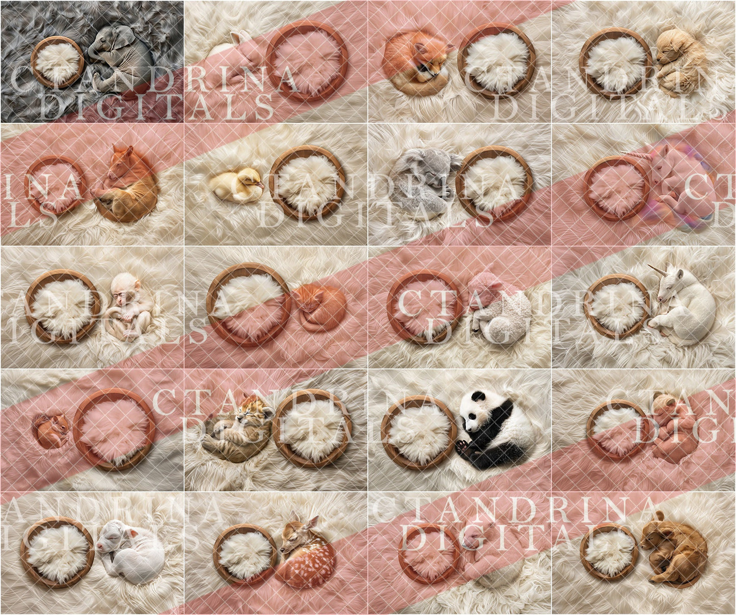 Baby Animal Newborn Digital Backdrop Full Collection 1, Fuzzy Animal Baby Digital Backgrounds, Mega Newborn Digital Backdrop Bundle