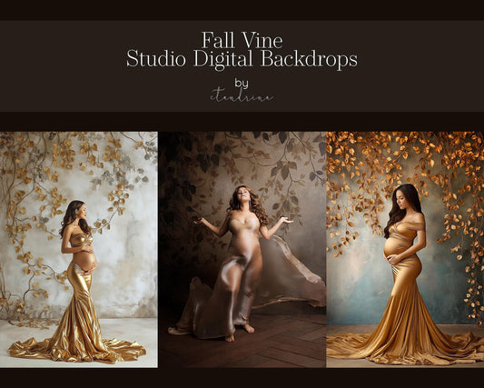 Fall Vine Studio Digital Backdrops, Maternity Digital Backdrops, Autumn Photoshop Digital Backdrops, Fall Leaf Vine Backdrops for Portraits