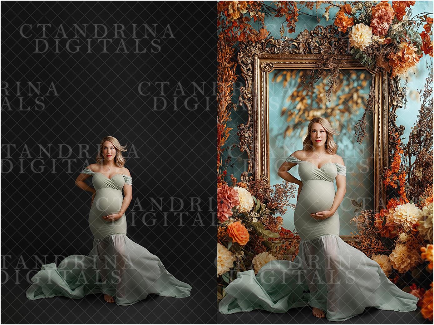 Fall Foliage Frame Digital Backdrops, Fine Art Autumn Floral Digital Backdrops, Maternity Digital Backdrops for Portrait Photography