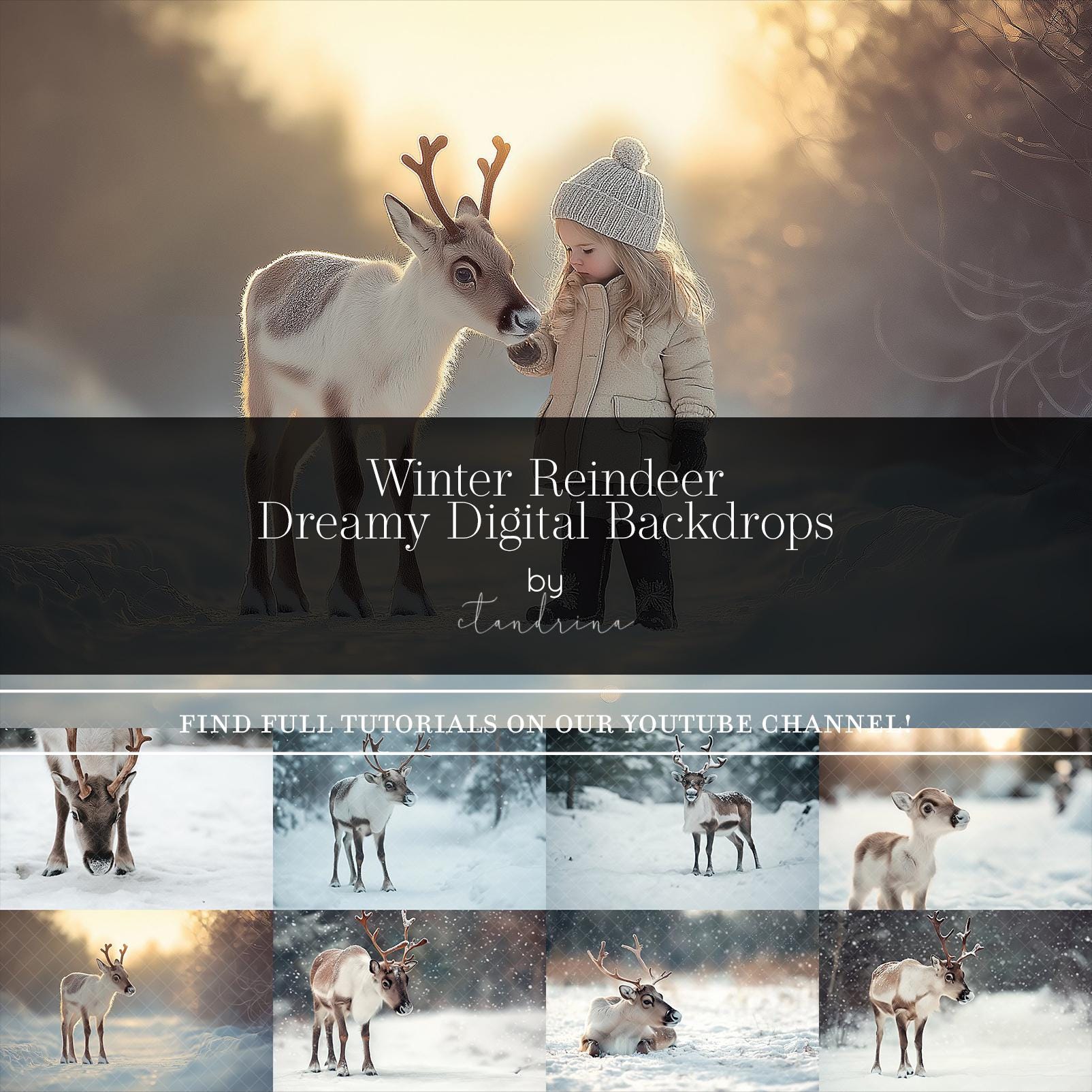 Reindeer Digital Backdrop, Winter Reindeer Digital Backgrounds, Santas Reindeer Photos for Composite in Photoshop, Photography Backdrops