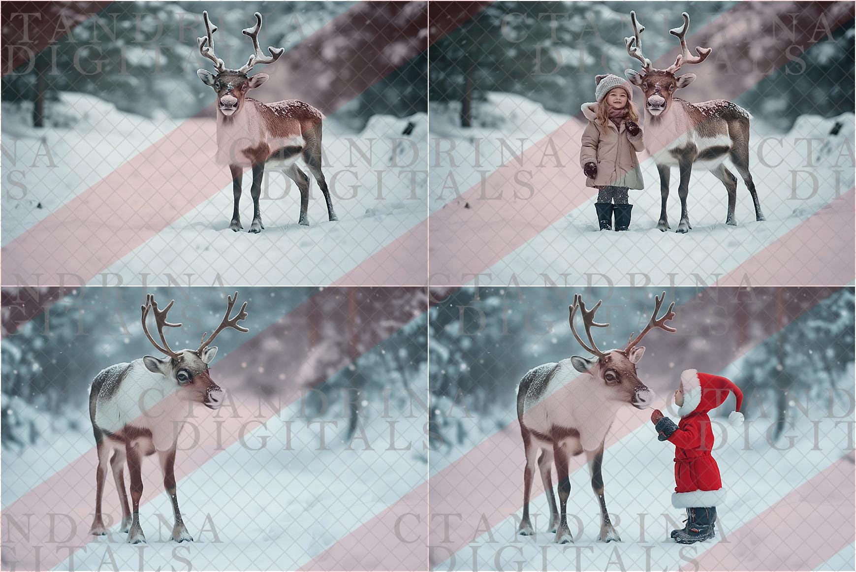 Reindeer Digital Backdrop, Winter Reindeer Digital Backgrounds, Santas Reindeer Photos for Composite in Photoshop, Photography Backdrops