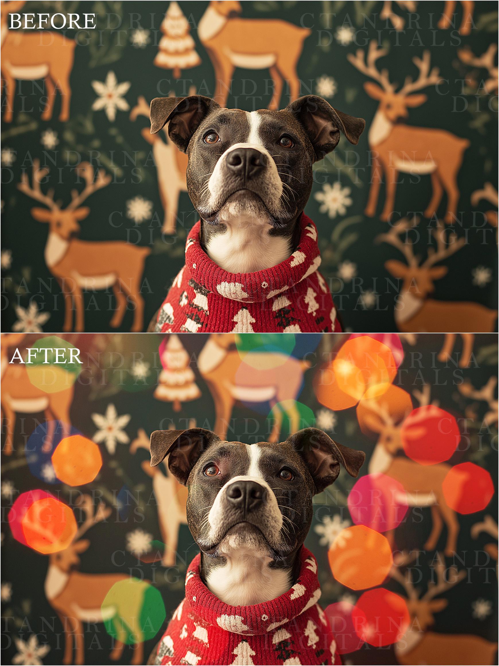 Colorful Christmas Light Bokeh Overlays