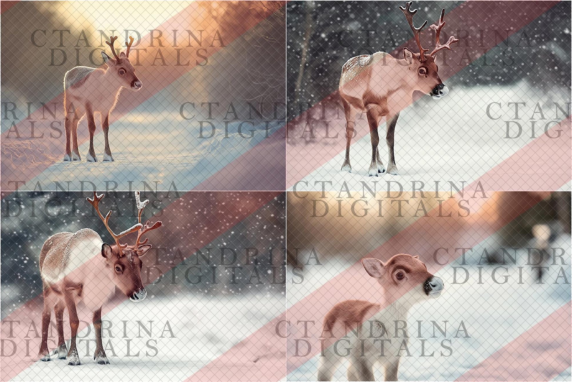 Reindeer Digital Backdrop, Winter Reindeer Digital Backgrounds, Santas Reindeer Photos for Composite in Photoshop, Photography Backdrops