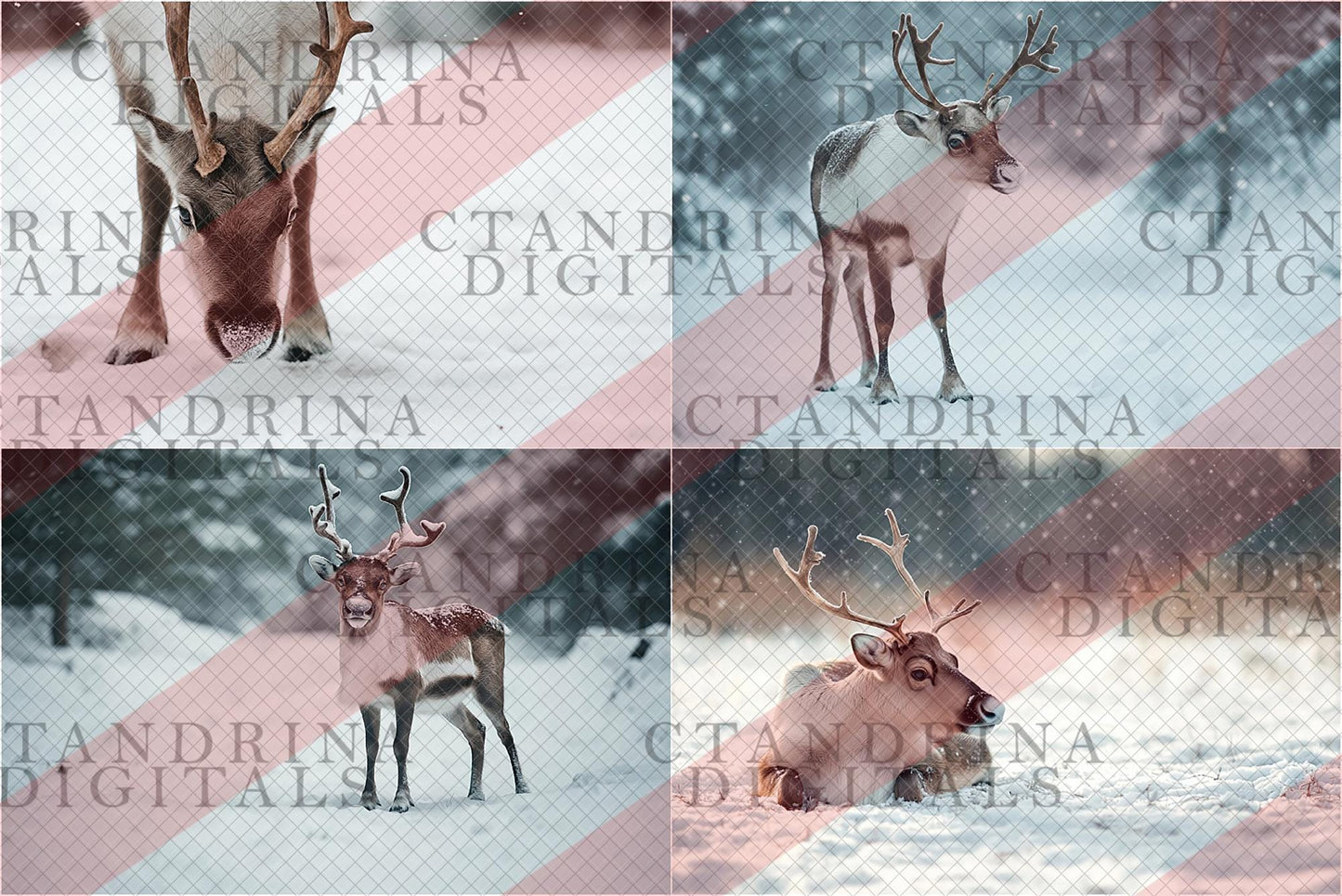 Reindeer Digital Backdrop, Winter Reindeer Digital Backgrounds, Santas Reindeer Photos for Composite in Photoshop, Photography Backdrops