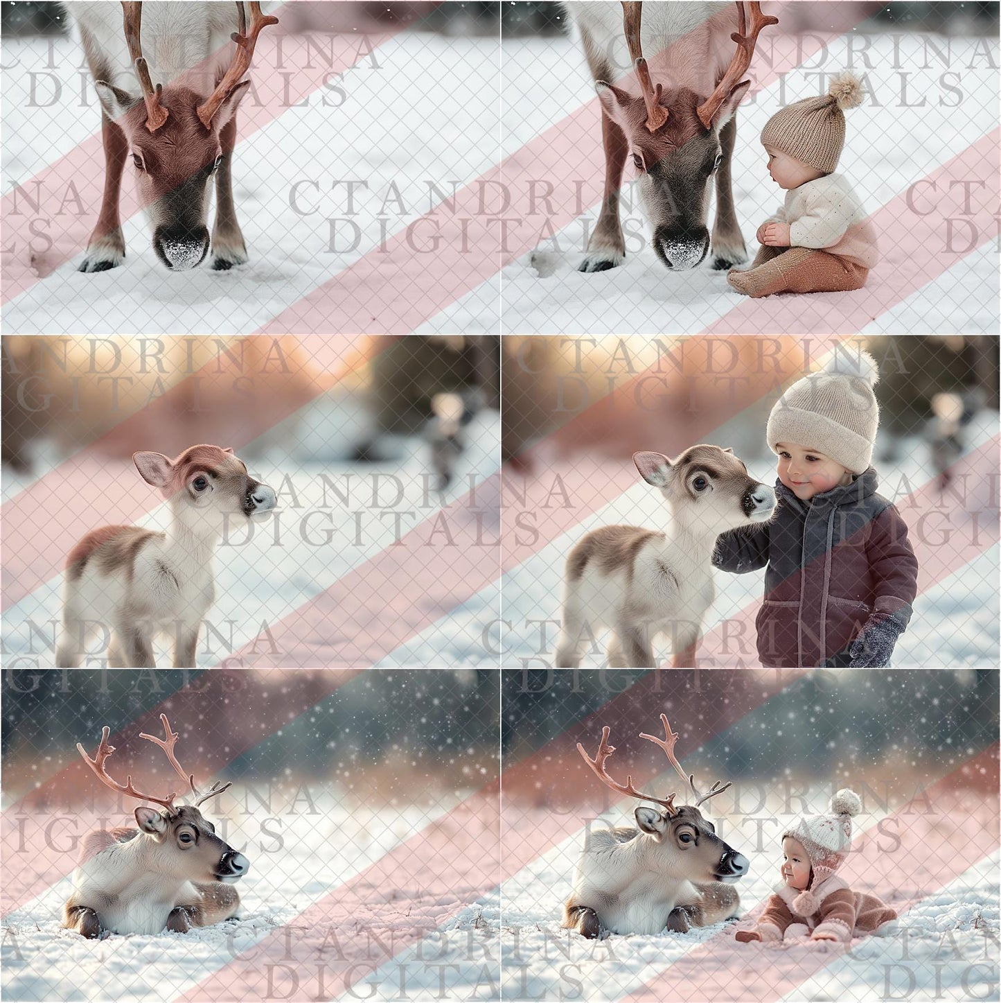 Reindeer Digital Backdrop, Winter Reindeer Digital Backgrounds, Santas Reindeer Photos for Composite in Photoshop, Photography Backdrops