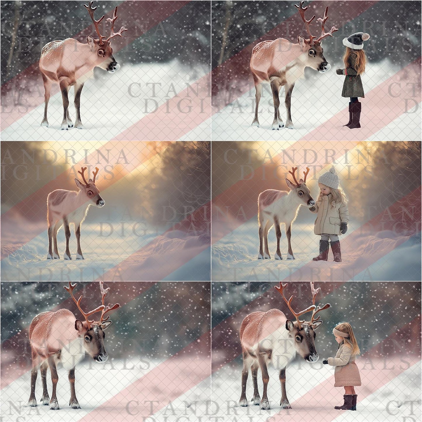 Reindeer Digital Backdrop, Winter Reindeer Digital Backgrounds, Santas Reindeer Photos for Composite in Photoshop, Photography Backdrops