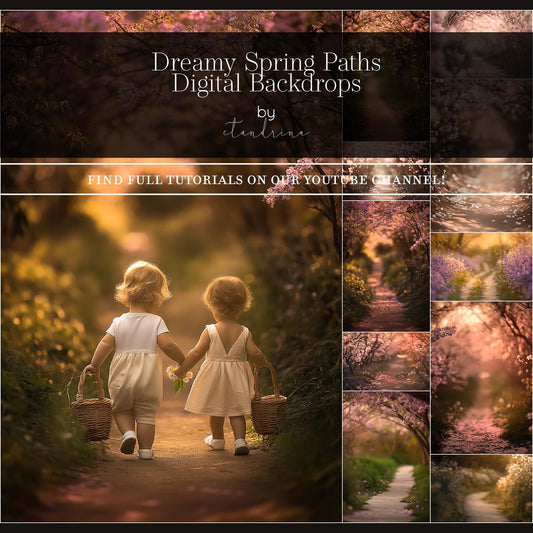 Dreamy Spring Path Digital Backdrops, Floral Digital Backgrounds, Spring Florals, Blurred Branch Overlay Backdrops for Photoshop Composite