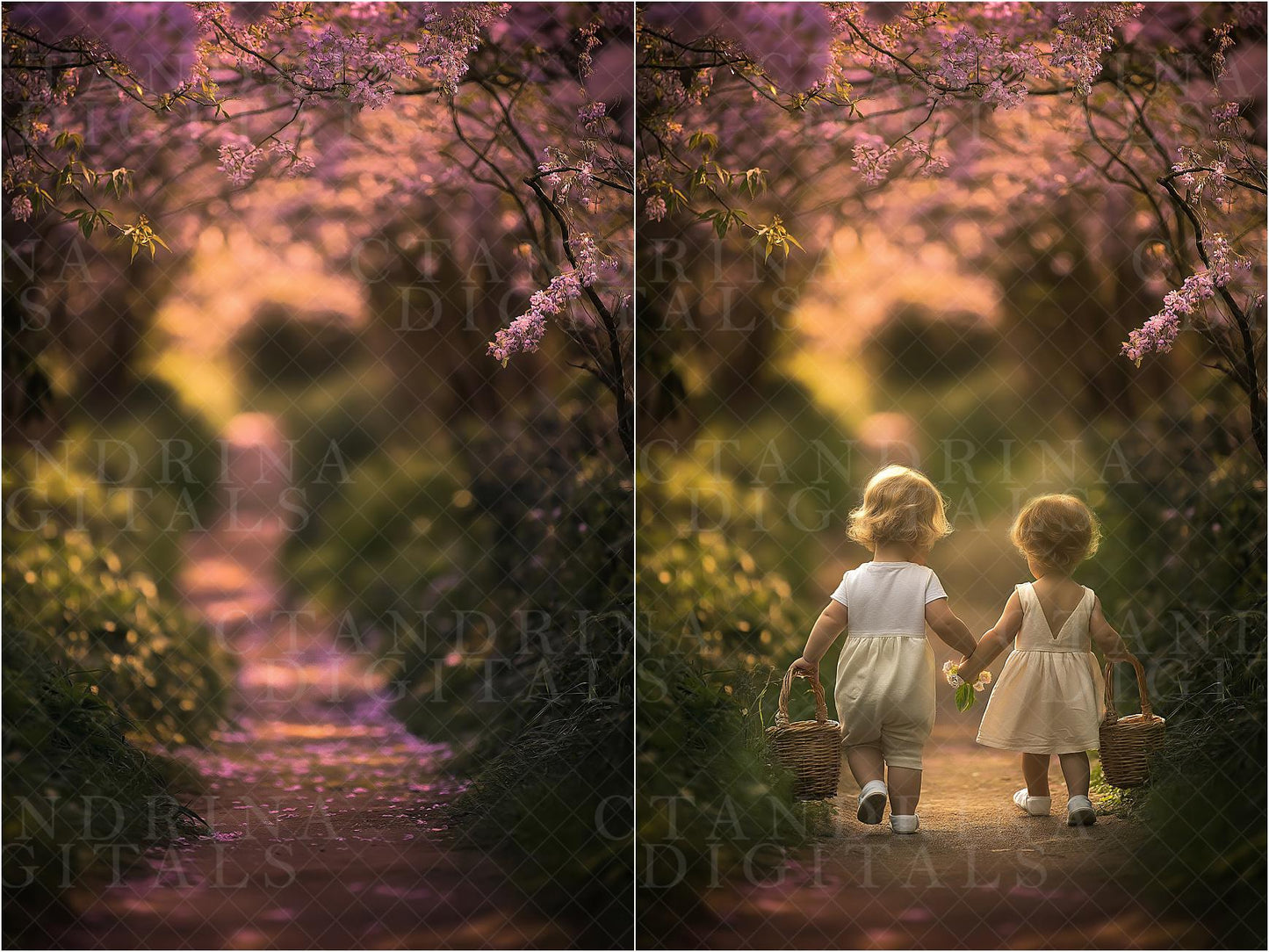 Dreamy Spring Path Digital Backdrops, Floral Digital Backgrounds, Spring Florals, Blurred Branch Overlay Backdrops for Photoshop Composite