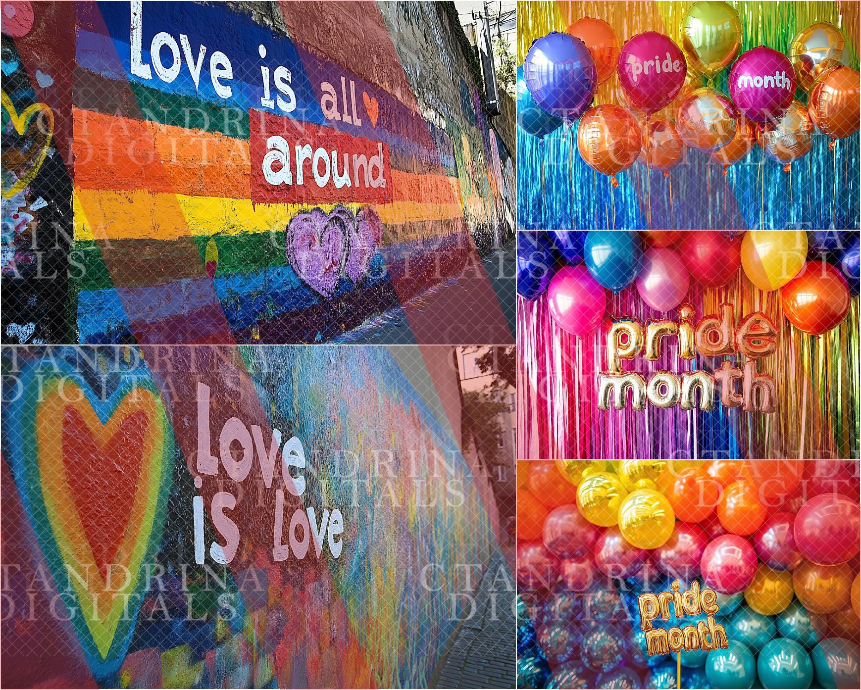 Pride Month Inspired Digital Backdrops, Gay Pride Backdrops, LGBTQ Backdrops for Photoshop, Pride Month Screen Saver, LGBTQ Stock Photos