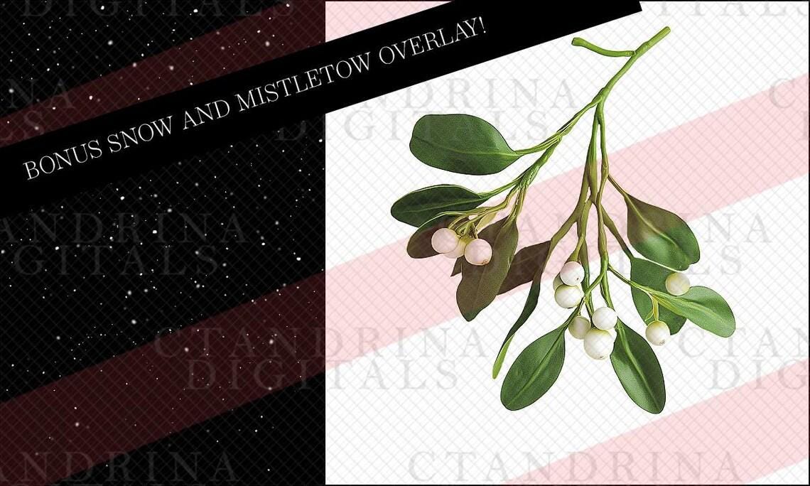 Floral Branch Backdrop Overlay Bundle: Seasonal Mega Pack (Digital Download)