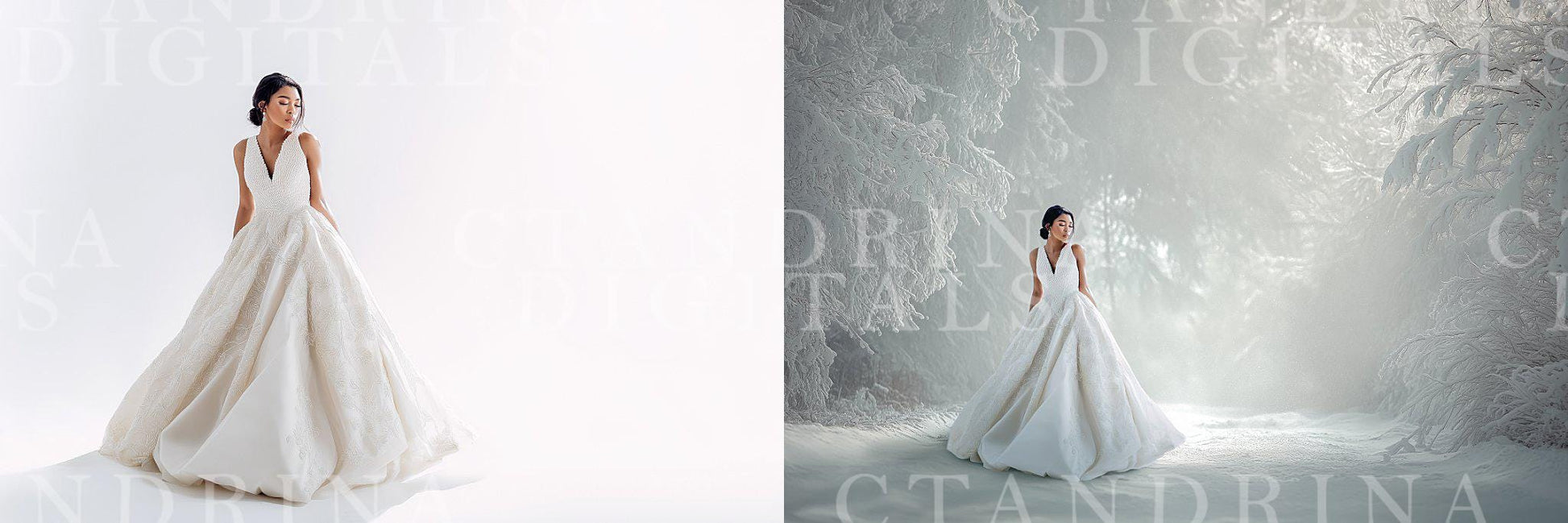 Winter White Digital Backdrops, Portrait Digital Backdrops for Photoshop, Christmas Backdrop Bundle (Tutorial Included)