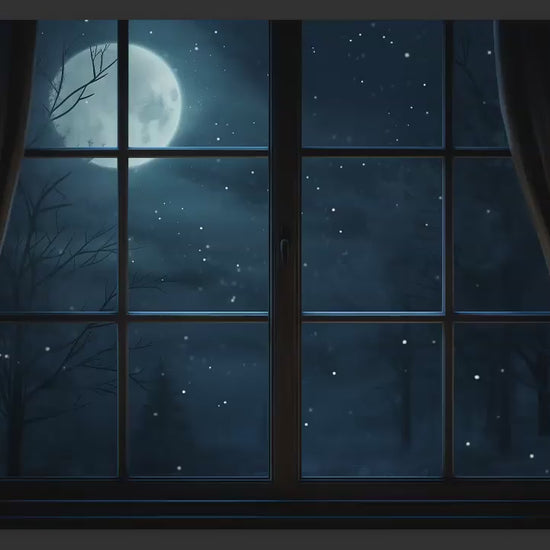 Nighttime Winter Window Digital Backdrops, Dreamy Window Digital Backgrounds, Christmas Digital Backdrops for Photoshop Composites - 4 Pack