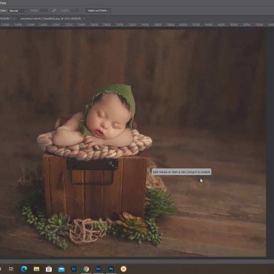 Newborn Digital Backdrop, Succulent Newborn Digital Background, Neutral Newborn Baby Backdrops, Real Wood Backdrops, Photoshop Backdrops