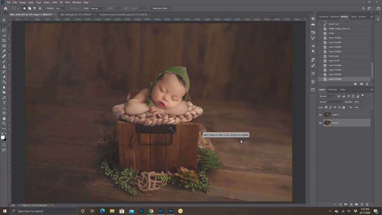 Newborn Digital Backdrop, Succulent Newborn Digital Background, Neutral Newborn Baby Backdrops, Real Wood Backdrops, Photoshop Backdrops