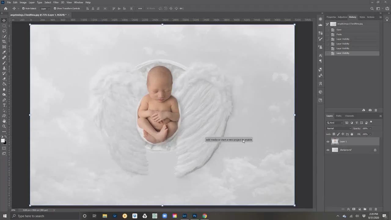 Angel Wings Newborn Digital Backdrop. Angel Baby Newborn Digital Background, Newborn Digital Backdrops for Photoshop