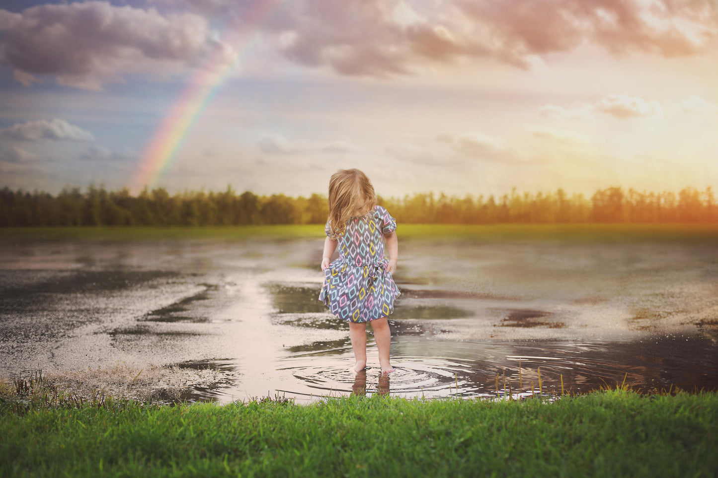 Digital Backdrop, Dreamy Rainbow Field, Grassy Field with Treeline Background, Pretty Digital Backdrops for Photoshop!