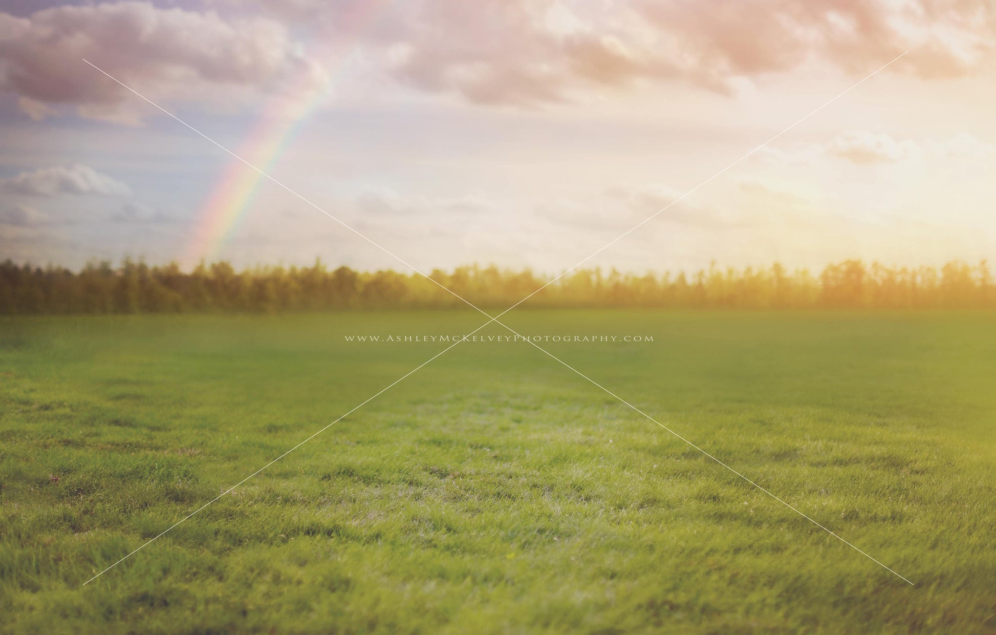 Digital Backdrop, Dreamy Rainbow Field, Grassy Field with Treeline Background, Pretty Digital Backdrops for Photoshop!