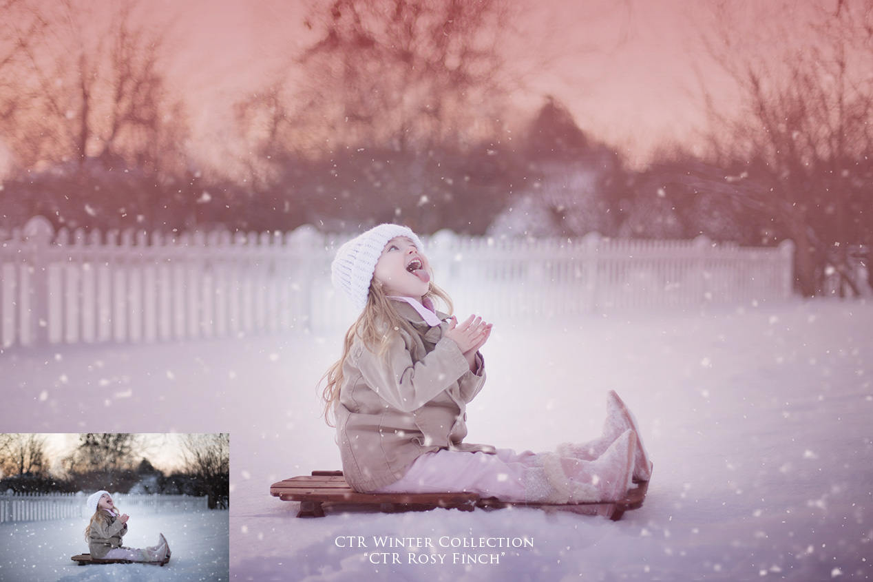 Winter Photoshop Actions, CTR Frozen Collection, Winter Inspired Actions, Winter Color for Photos, Crisp and Matte Actions - Set of 10