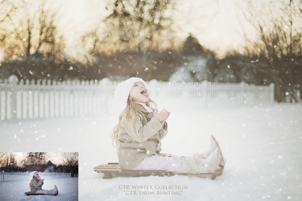 Winter Photoshop Actions, CTR Frozen Collection, Winter Inspired Actions, Winter Color for Photos, Crisp and Matte Actions - Set of 10