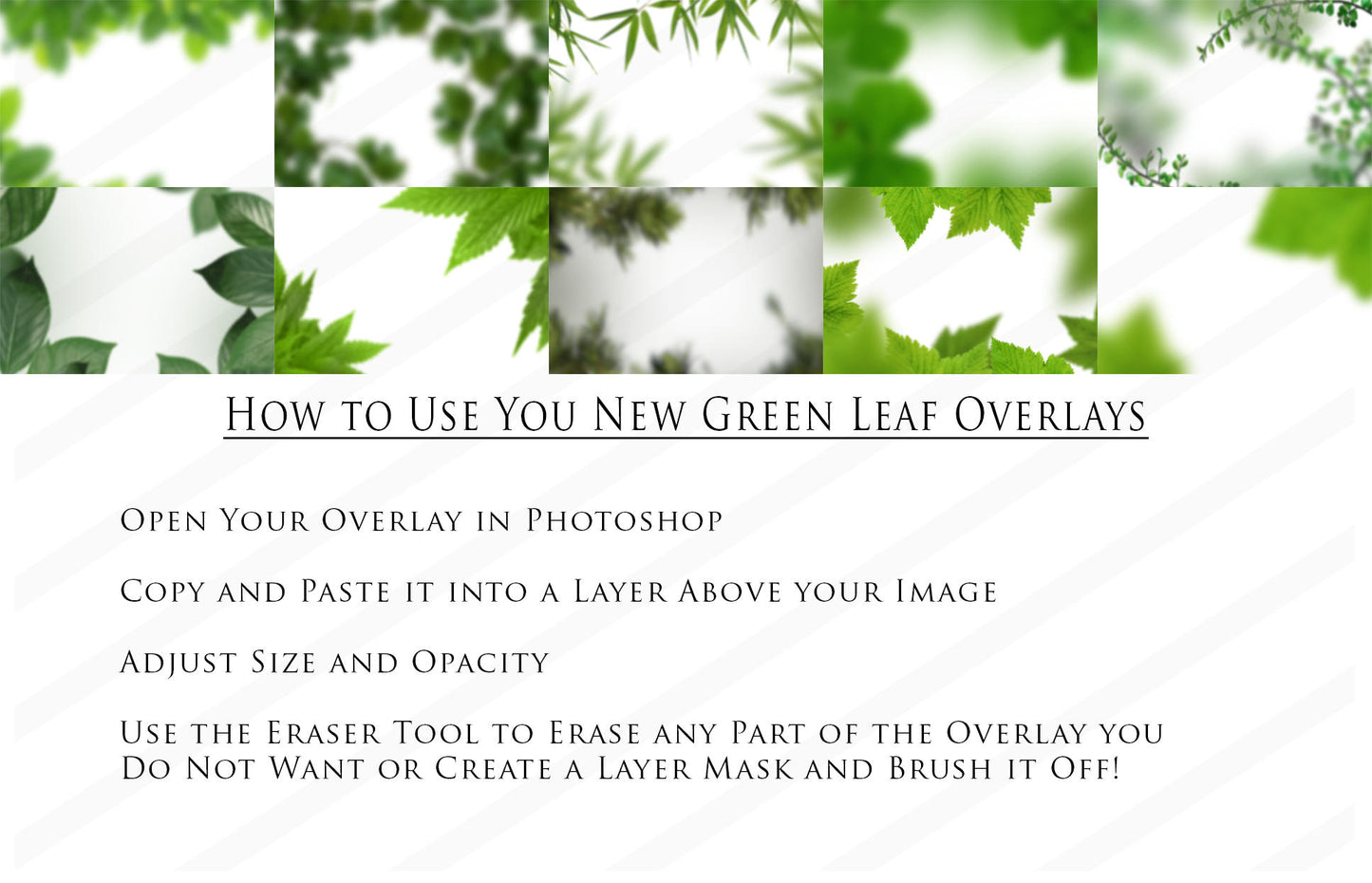 A "How To" description of how to use this digital product on your images; including all 10 green leaf overlay digital products displayed overlaying a white background.