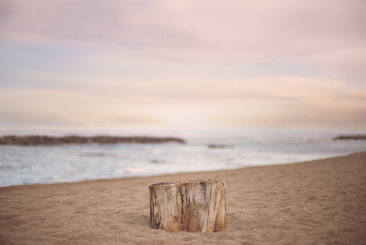 Digital Background, Tree Trunk on Beach Digital Backdrop, Newborn Digital Backdrop, Outdoor Digital Background, Beach with Sunset Background