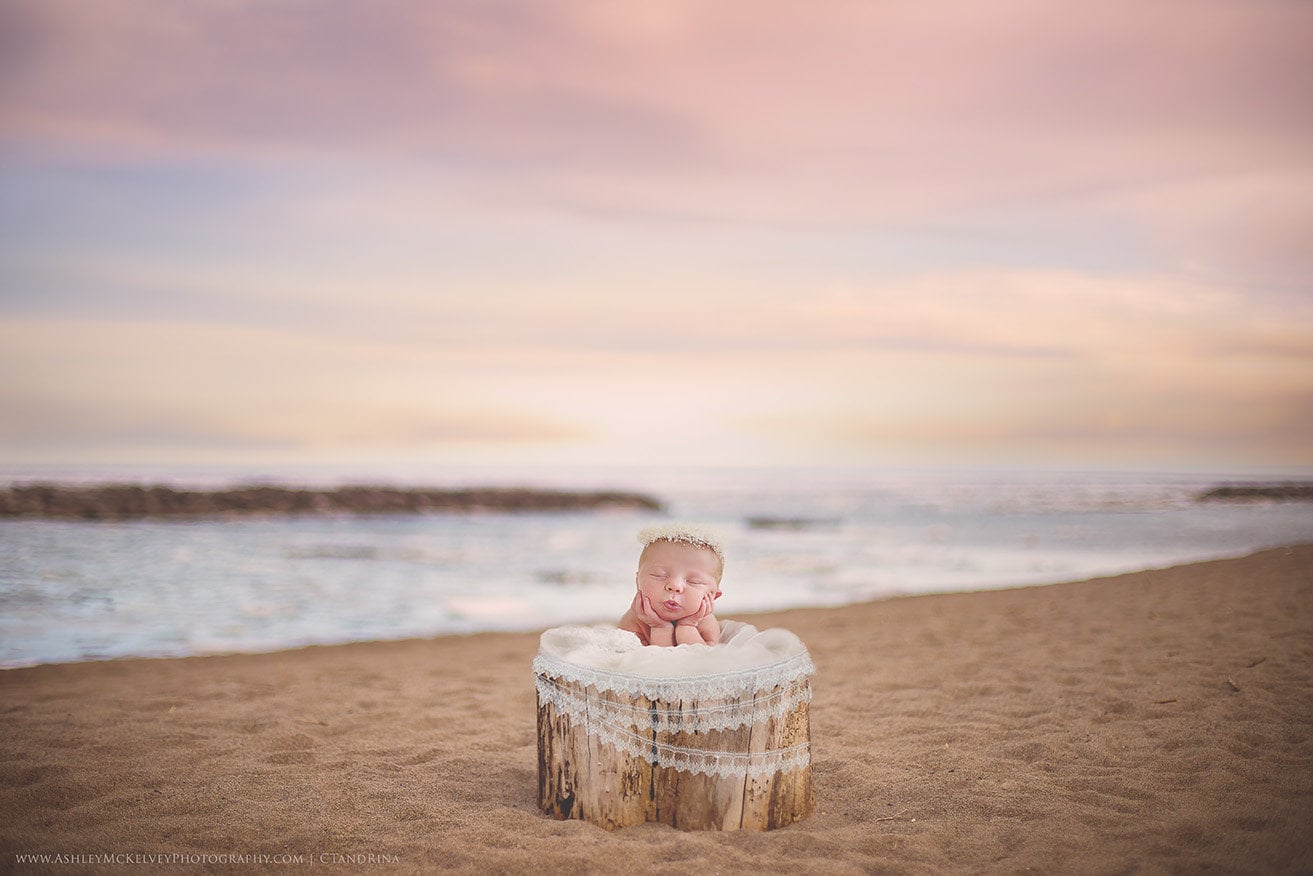 Digital Background, Tree Trunk on Beach Digital Backdrop, Newborn Digital Backdrop, Outdoor Digital Background, Beach with Sunset Background